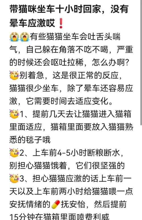 旅行时如何防止晕车?这几个小技巧很实用