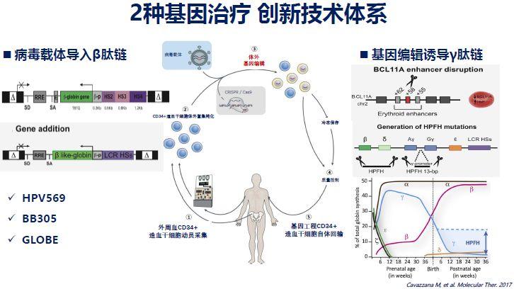 基因治疗如何突破遗传病治疗瓶颈?医学进展展望