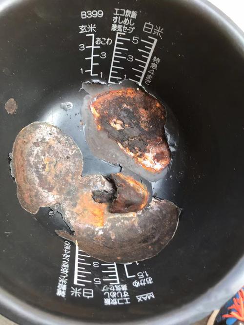 电饭煲内胆？避免刮擦保护涂层！