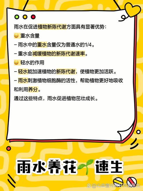 雨水浇花注意？收集后沉淀再用！
