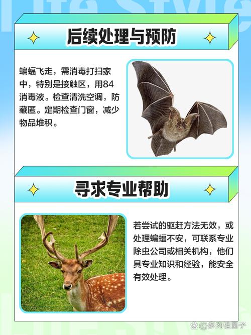 蝙蝠为何能携带病毒却不生病?免疫系统研究