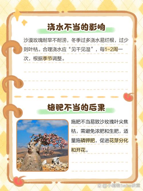 沙漠植物如何适应极端干旱？植物生理学机制