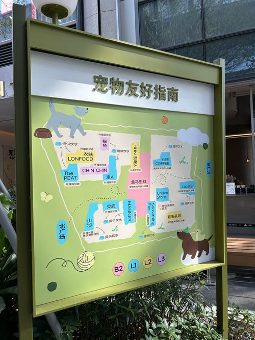 宠物友好环境布置建议