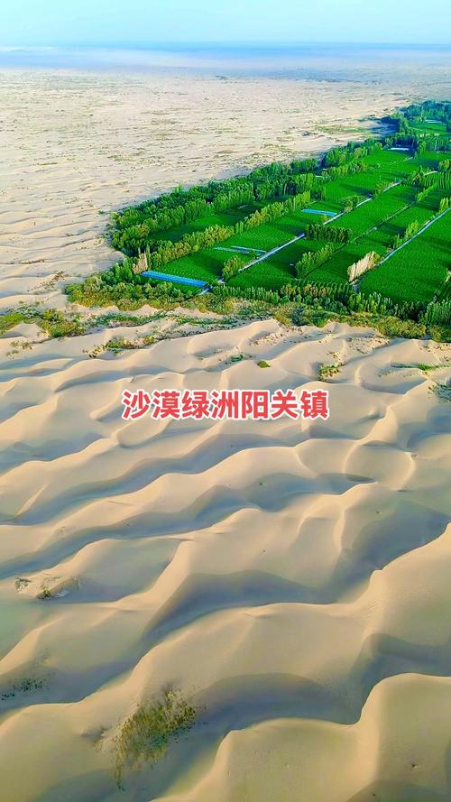 沙漠绿洲形成需要哪些自然条件？地理学解析