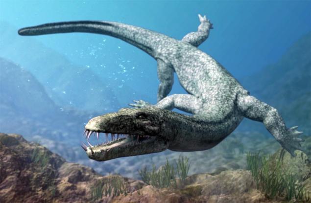 恐龙时代的海洋生物