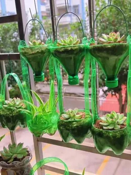 塑料瓶改造！制作水培种植器