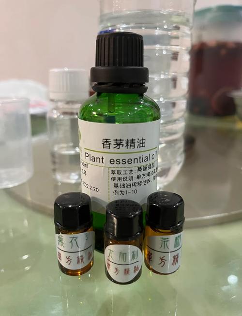 自制驱蚊水？维生素B1溶水喷！