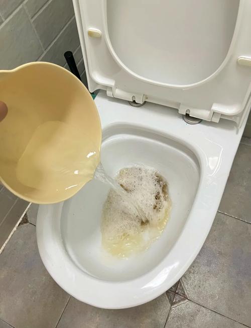 马桶堵塞不用通！神奇疏通法