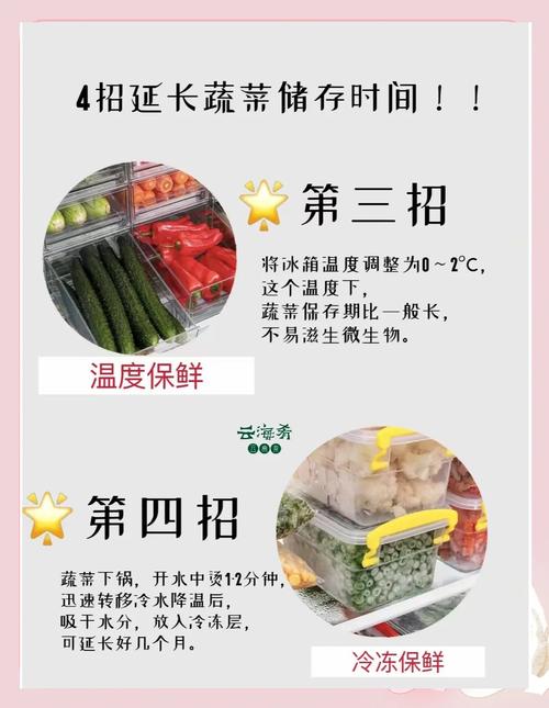 常见蔬菜保鲜技巧：绿叶菜、根茎菜，保存方式大不同​