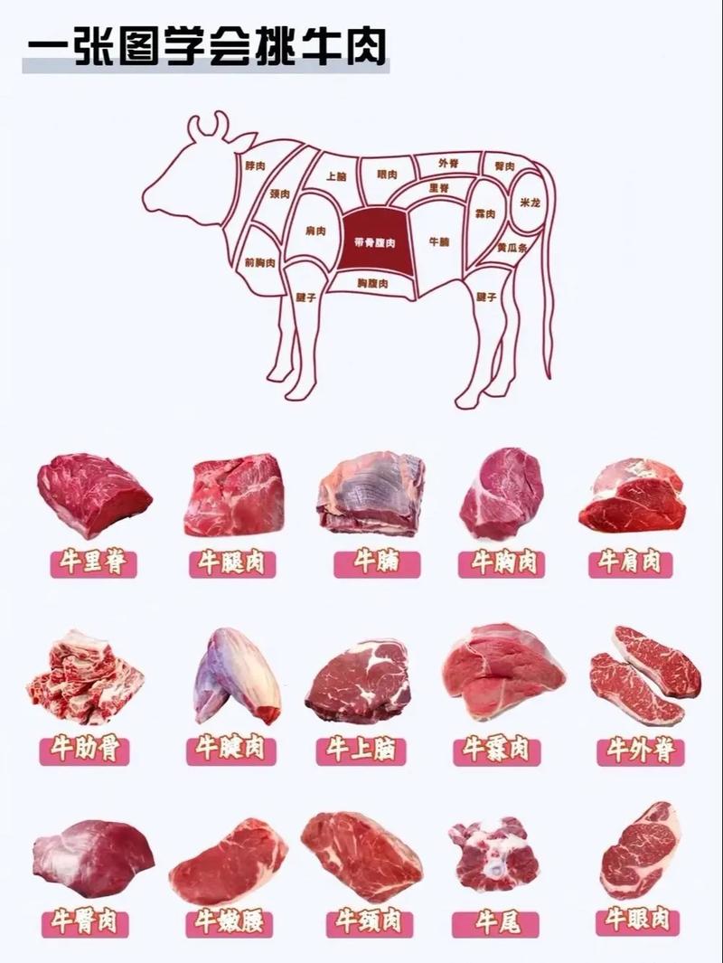挑选新鲜肉类：猪肉、牛肉、鸡肉，看颜色、摸质感辨新鲜​