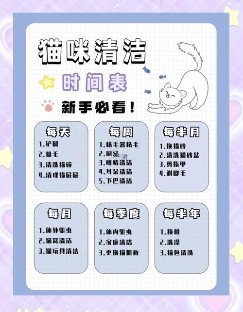 猫咪绝育后护理：伤口清洁、饮食调整，恢复周期​