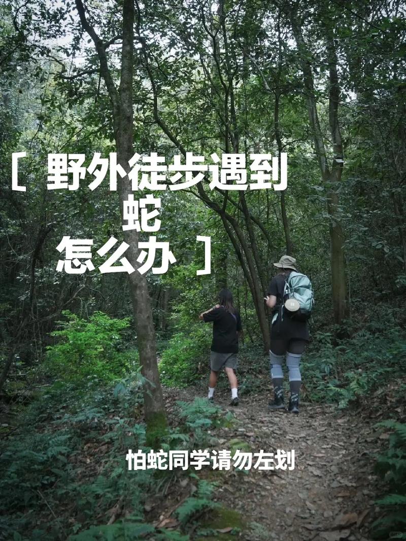 户外防蛇技巧：穿长裤、戴帽子，避免草丛穿行​