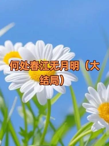 《何处春江无月明》短剧大结局免费在线观看