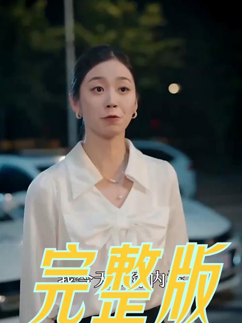 《完美的不在场证明》短剧免费在线观看大结局