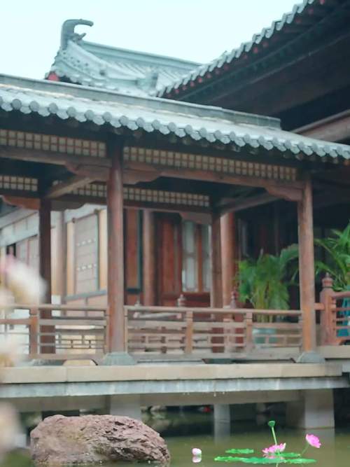 《寒夜无温》短剧完整版大结局免费观看
